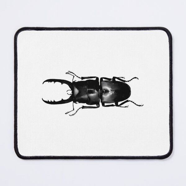 Item preview, Vintage Stag Beetle Entomology Sketch designed and sold by ylodecdtv11.