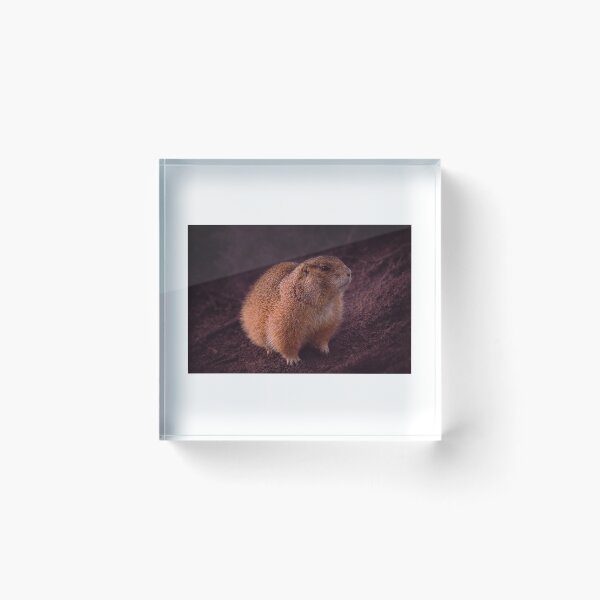 Item preview, Fluffy Prairie Dog Portrait - Earthy Tones designed and sold by Tammigrafie.