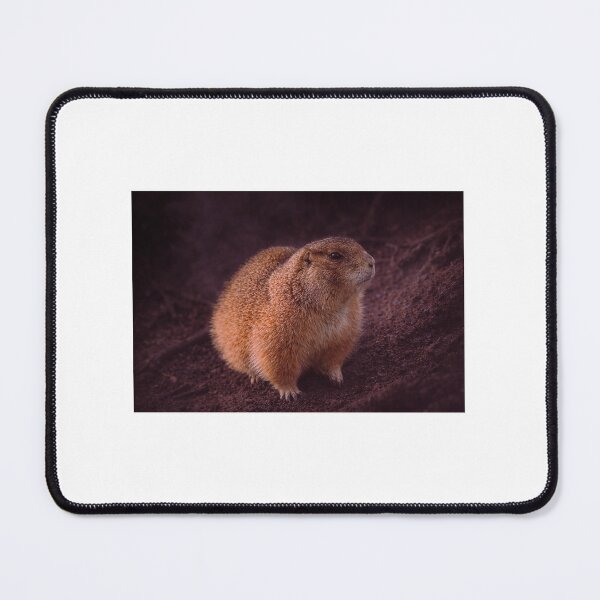 Item preview, Fluffy Prairie Dog Portrait - Earthy Tones designed and sold by Tammigrafie.