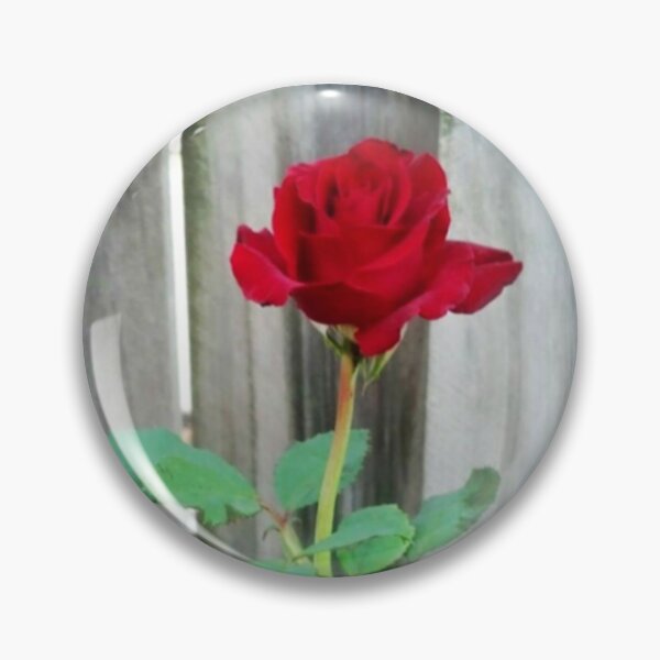 Artikelvorschau, Einzelne langstielige rote Rose entworfen und verkauft von ROSENDE ART HOUSE.