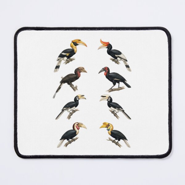Item preview, Hornbill Species Vintage Style designed and sold by ArunDandiboina.