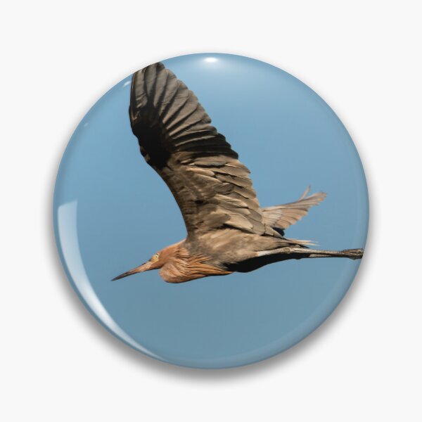 Item preview, Flying Egret in a Clear Sky designed and sold by Debra Martz.