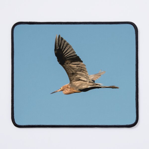 Item preview, Flying Egret in a Clear Sky designed and sold by Debra Martz.