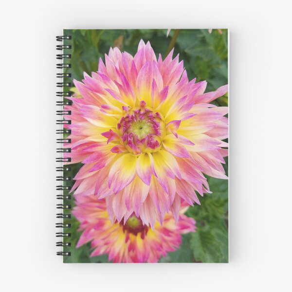Item preview, Dahlia rosa y amarilla designed and sold by CanaryPrison.