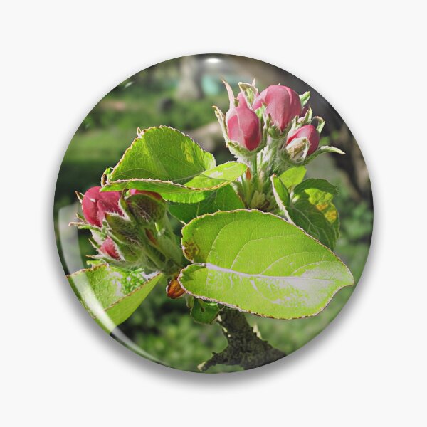 Item preview, Apple Blossom designed and sold by Katy Fryd.