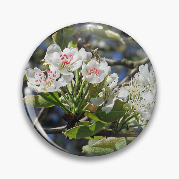 Artikelvorschau, Blüte ich entworfen und verkauft von Katy Fryd.