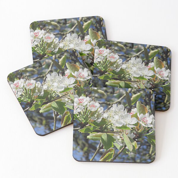Item preview, Blossom I designed and sold by Katy Fryd.