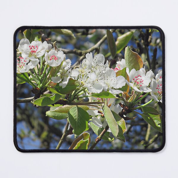 Item preview, Blossom I designed and sold by Katy Fryd.
