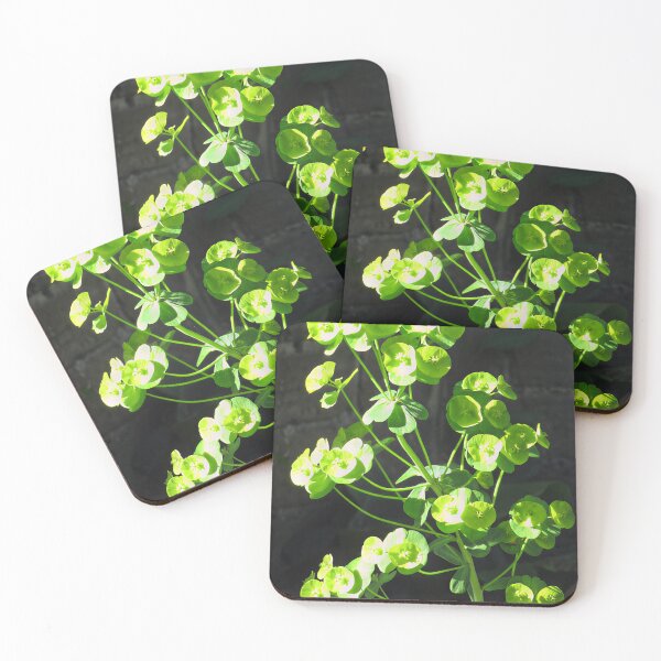Item preview, Euphorbia II designed and sold by Katy Fryd.