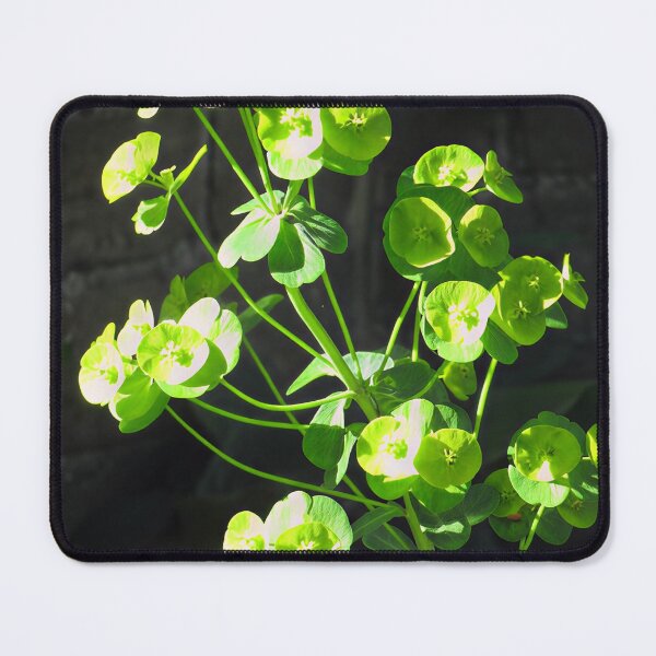 Item preview, Euphorbia II designed and sold by Katy Fryd.