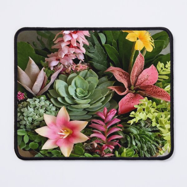 Item preview, Mystic Cactus Bloom Sanctuary: Vibrant Spiritual Haven for Serenity & Focus designed and sold by PSYCRAFTINGSTORE.