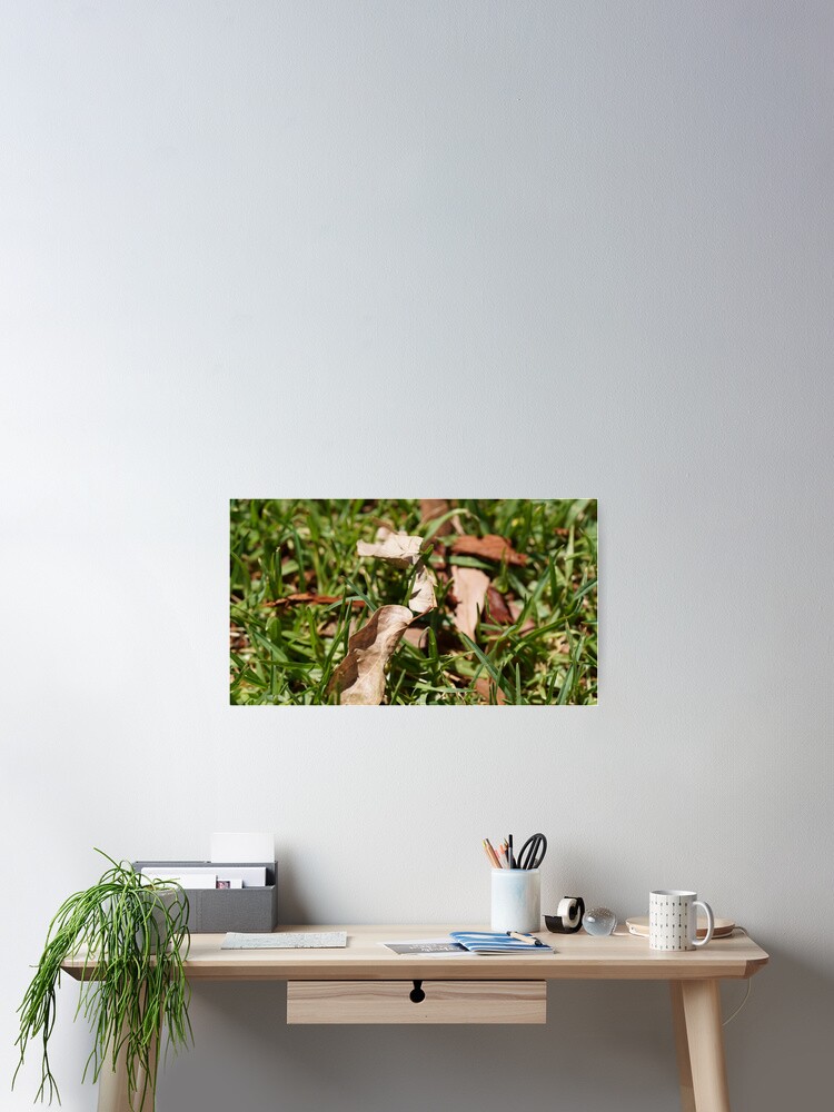 Thumbnail 2 of 3, Poster, grassy leafs designed and sold by Riley-parkers.