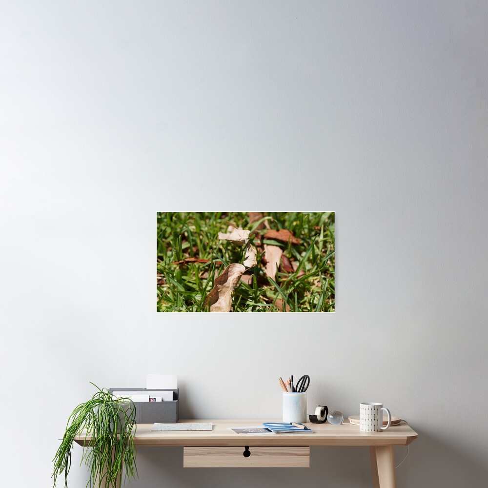 Item preview, Poster designed and sold by Riley-parkers.