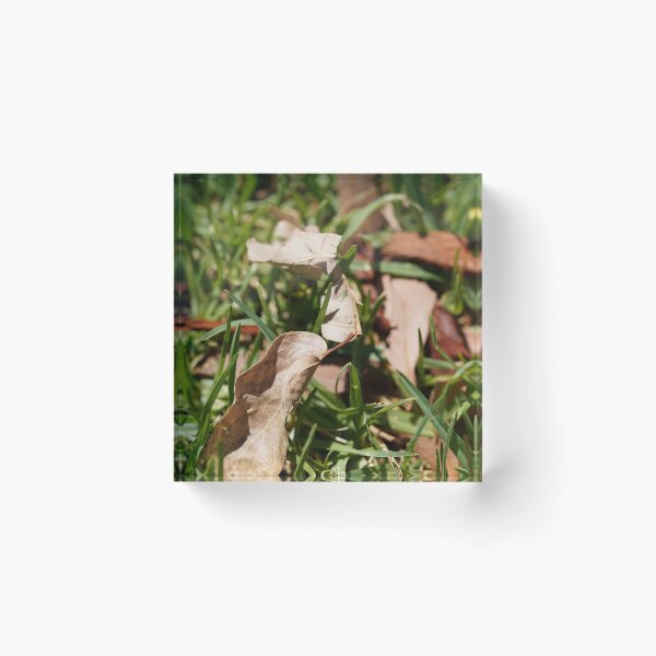 Item preview, grassy leafs designed and sold by Riley-parkers.