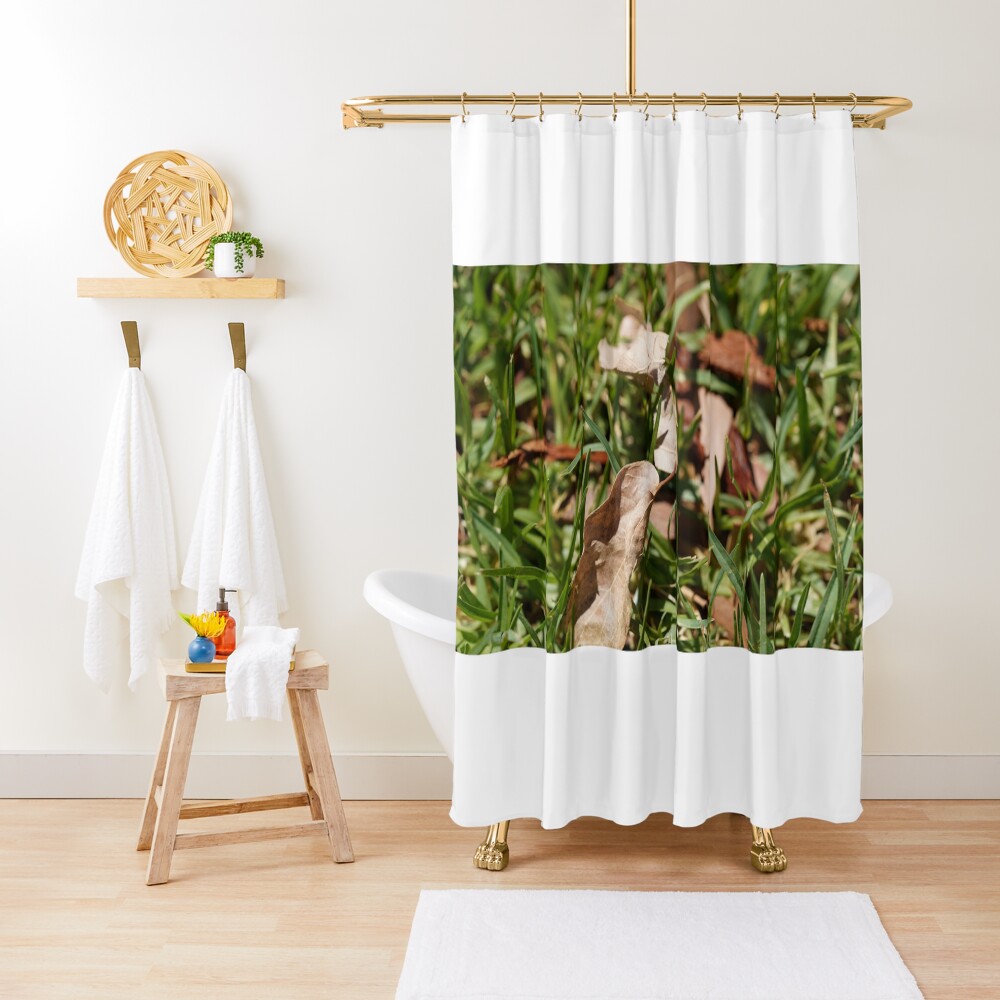 Item preview, Shower Curtain designed and sold by Riley-parkers.