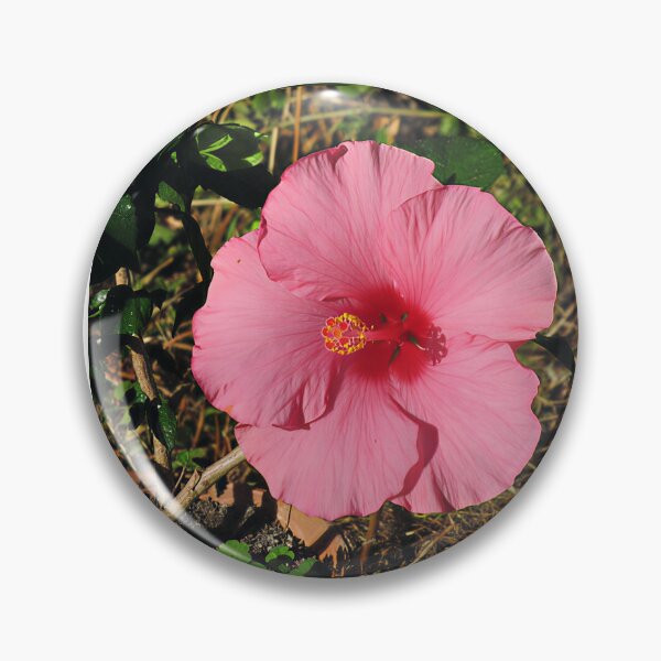 Artikelvorschau, Hibiskus IV entworfen und verkauft von Katy Fryd.