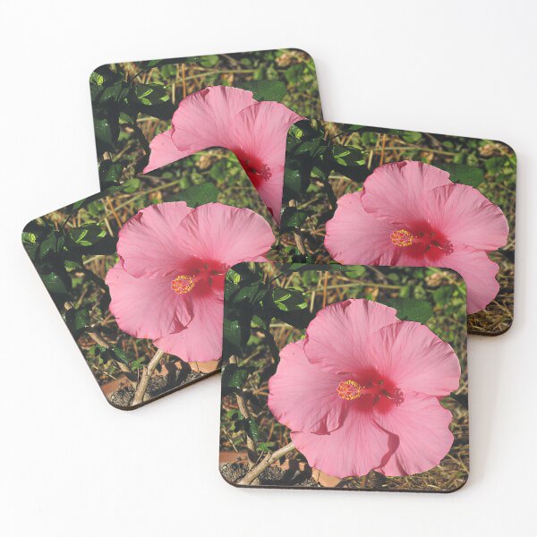Item preview, Hibiscus IV designed and sold by Katy Fryd.