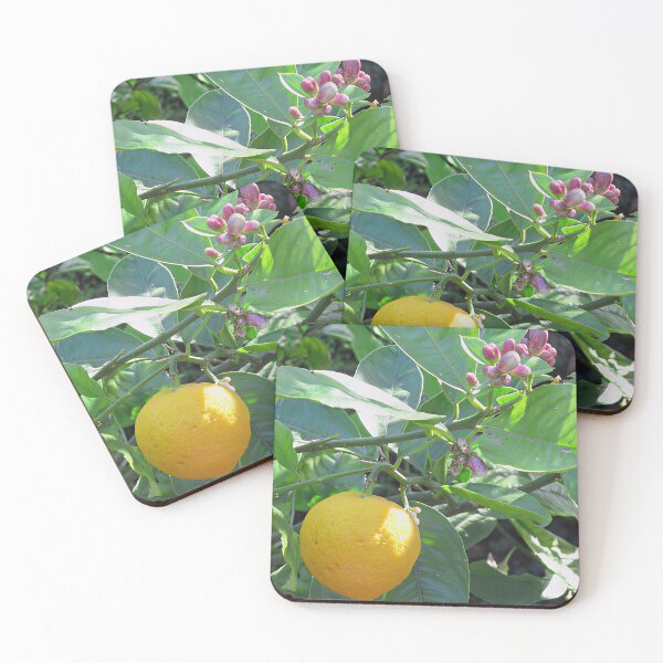 Item preview, Lemon Tree Blossom designed and sold by Katy Fryd.