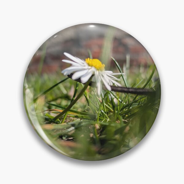 Item preview, Daisies in the middle of spring designed and sold by MonStile.