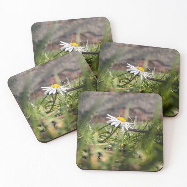 Item preview, Daisies in the middle of spring designed and sold by MonStile.