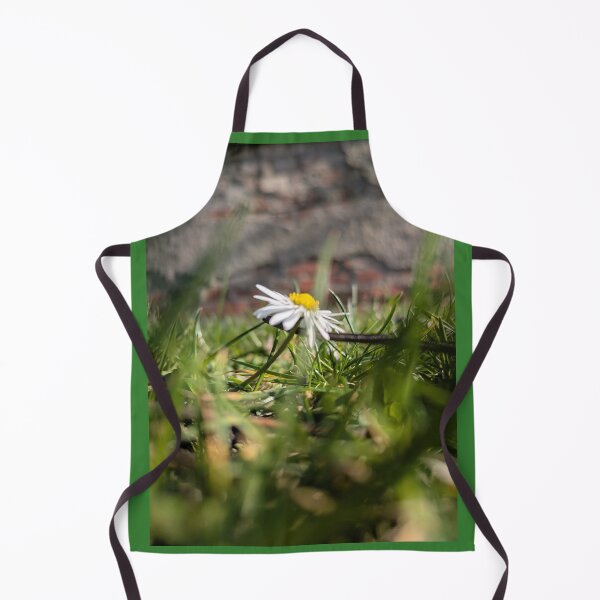 Item preview, Daisies in the middle of spring designed and sold by MonStile.