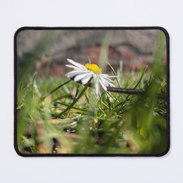 Item preview, Daisies in the middle of spring designed and sold by MonStile.