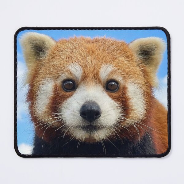 Item preview, Panda portrait designed and sold by missmoneypenny.