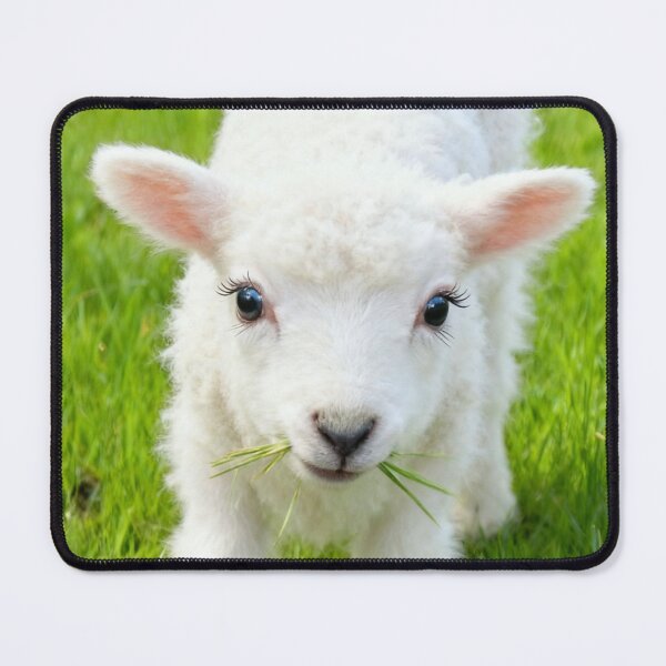 Item preview, Larry designed and sold by missmoneypenny.