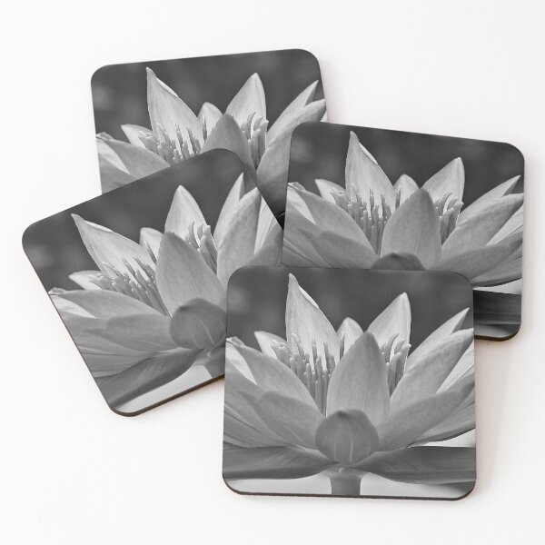 Item preview, Tropical rain forest lotus flower blossom black and white floral photographic art print designed and sold by Astrid Arkhangelsky.