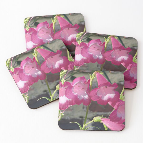 Item preview, Penstemon II designed and sold by Katy Fryd.