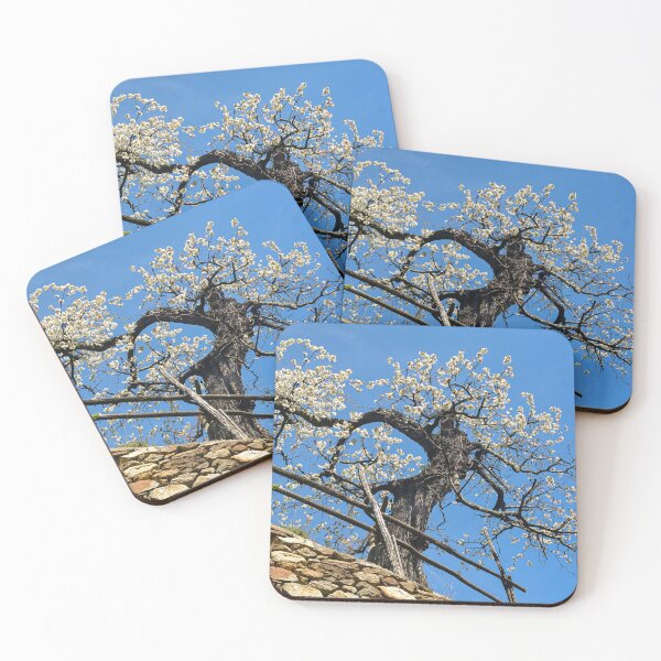 Item preview, spring designed and sold by Erwin G. Kotzab.