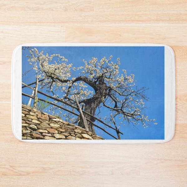 Item preview, spring designed and sold by Erwin G. Kotzab.