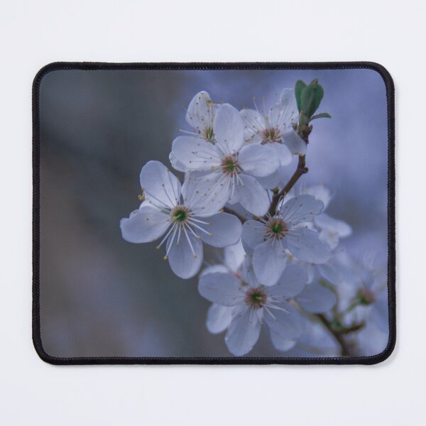 Item preview, Sakura designed and sold by byvitattoo.