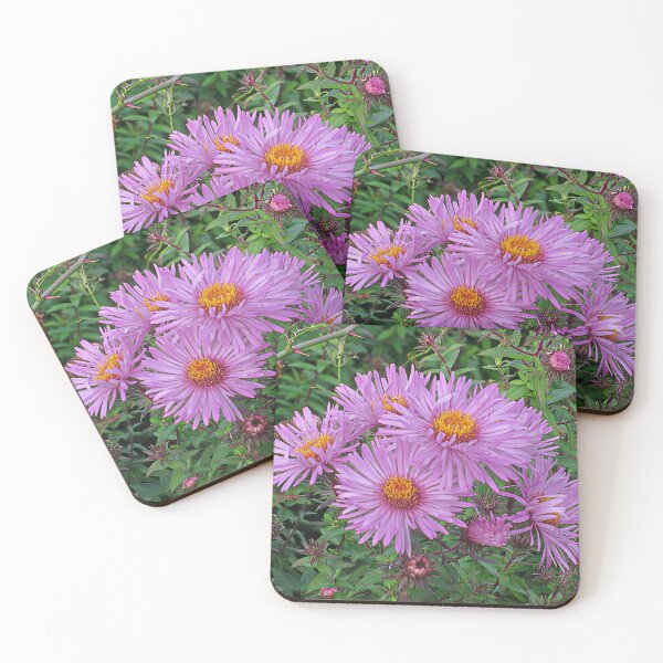 Item preview, Michaelmas Daisy II designed and sold by Katy Fryd.