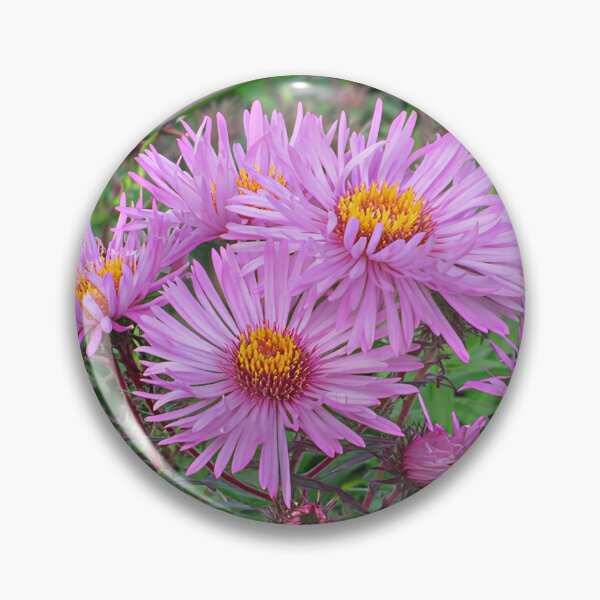 Item preview, Michaelmas Daisy designed and sold by Katy Fryd.