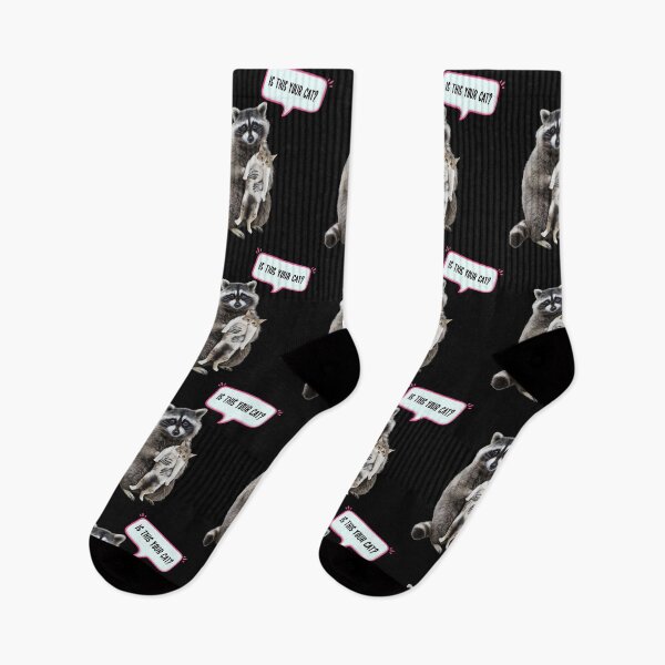 Item preview, Is this your cat? | cat meme| raccoon meme, Raccoon  designed and sold by TeeARTHY.