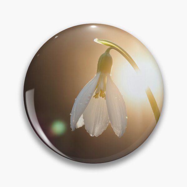 Item preview, Spring Snowdrop In Morning Sunlight designed and sold by Maria Dryfhout.