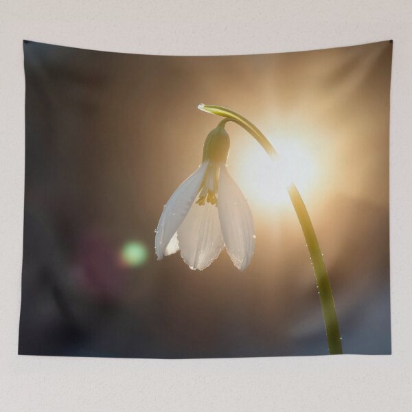 Item preview, Spring Snowdrop In Morning Sunlight designed and sold by Maria Dryfhout.