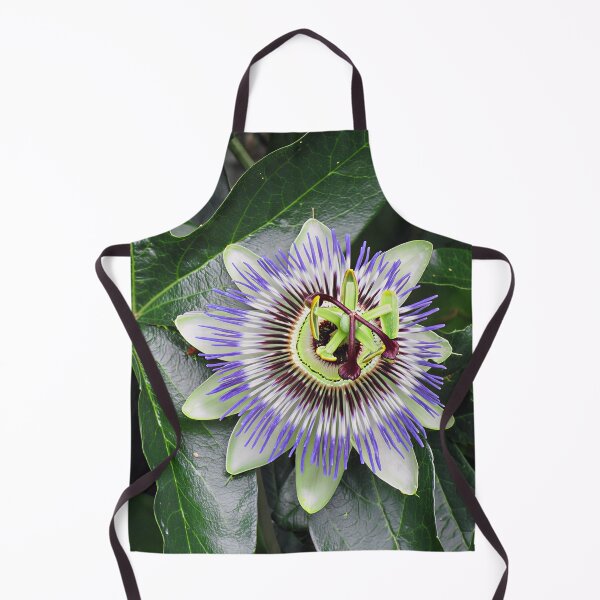 Item preview, Passion Flower designed and sold by Katy Fryd.
