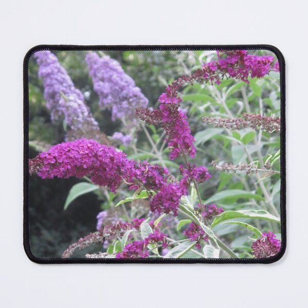 Item preview, Buddleja designed and sold by Katy Fryd.