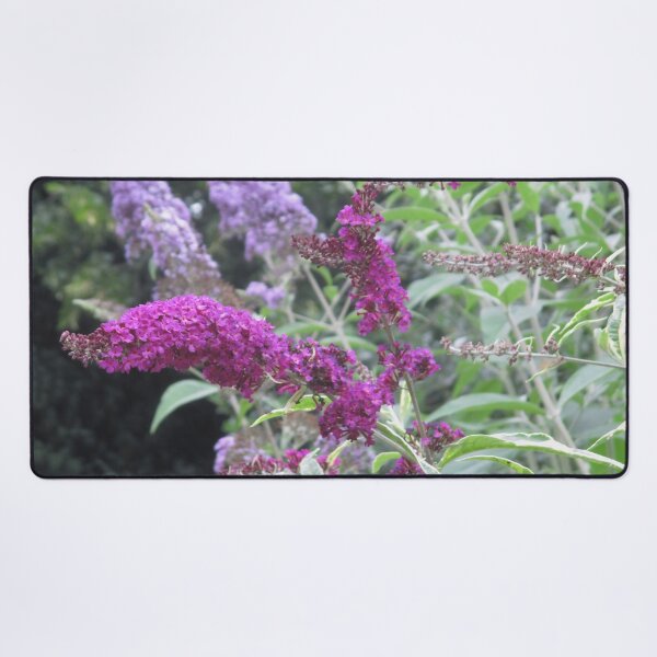 Item preview, Buddleja designed and sold by Katy Fryd.