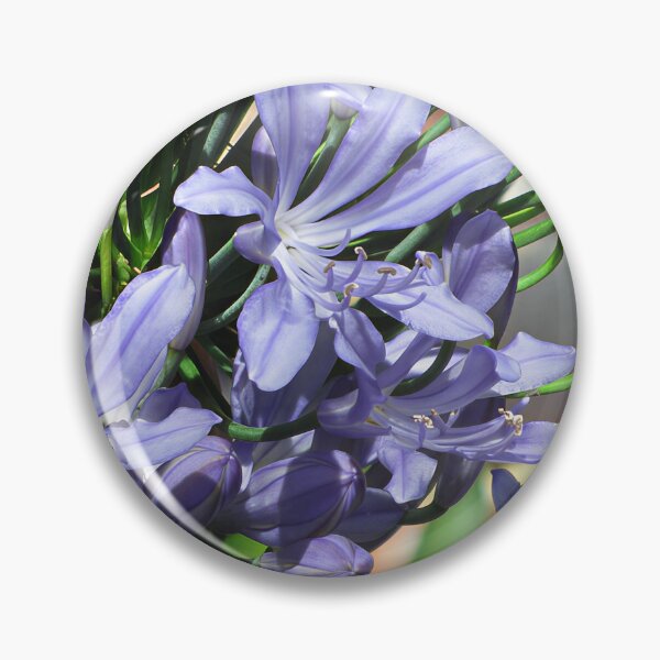 Artikelvorschau, Agapanthus IV entworfen und verkauft von Katy Fryd.