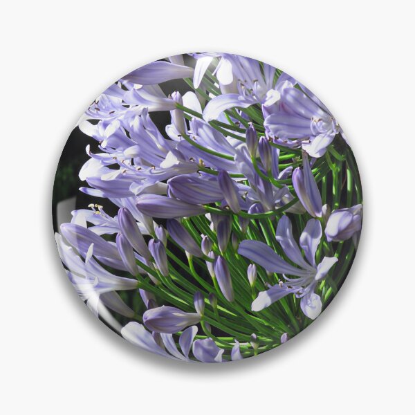 Artikelvorschau, Agapanthus V entworfen und verkauft von Katy Fryd.