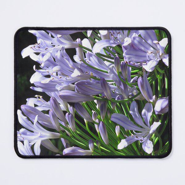 Item preview, Agapanthus V designed and sold by Katy Fryd.