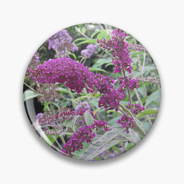Artikelvorschau, Buddleja II entworfen und verkauft von Katy Fryd.