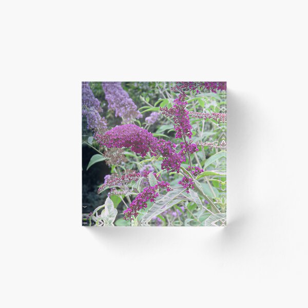 Item preview, Buddleja II designed and sold by Katy Fryd.