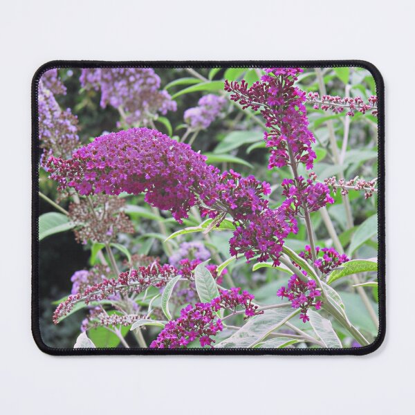 Item preview, Buddleja II designed and sold by Katy Fryd.