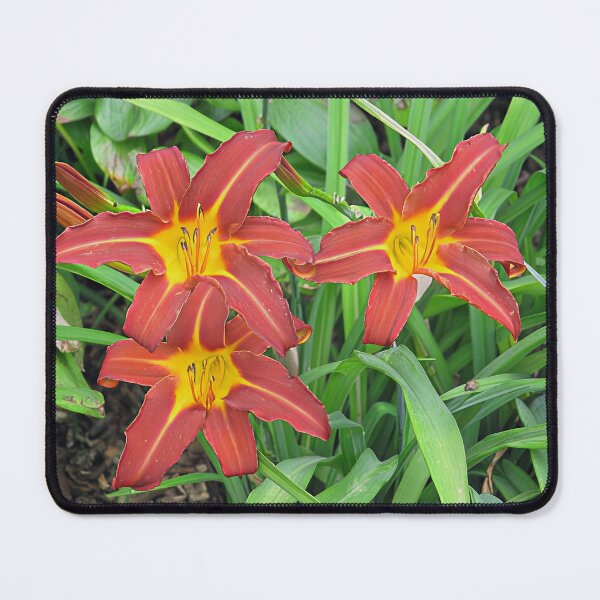 Item preview, Red Daylilies VI designed and sold by Katy Fryd.