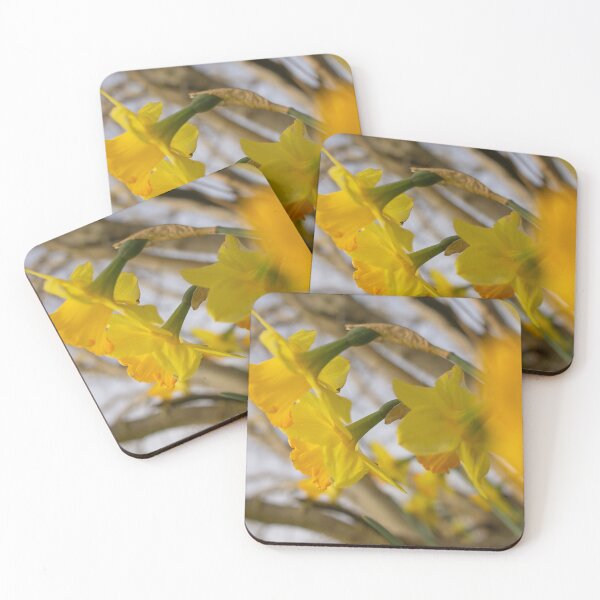 Item preview, Yellow daffodils with selective focus designed and sold by GingaDesigns.