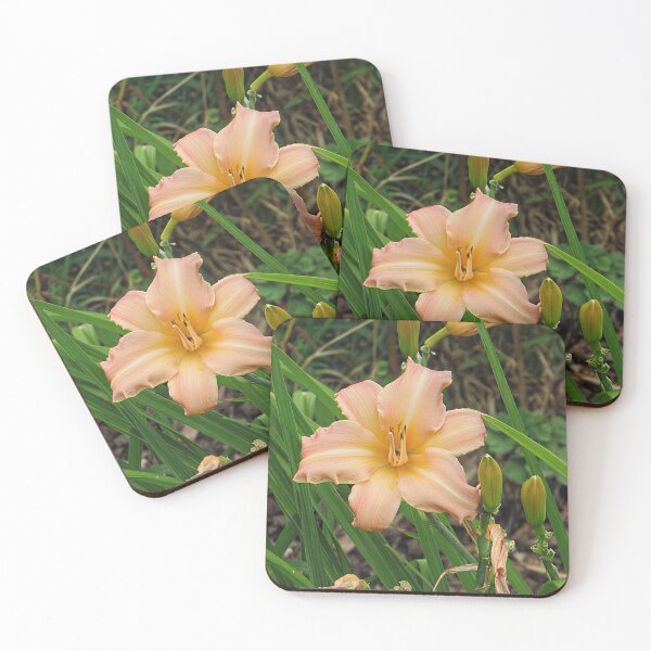 Item preview, Pink Daylily designed and sold by Katy Fryd.